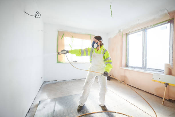 Best Environmental Consulting for Mold Prevention  in Alexandria, KY