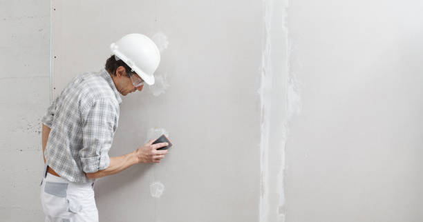 Best Forensic Mold Investigation  in Alexandria, KY