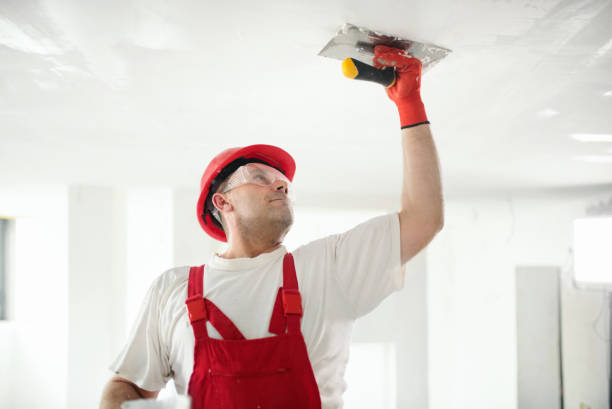 Best Emergency Mold Remediation  in Alexandria, KY