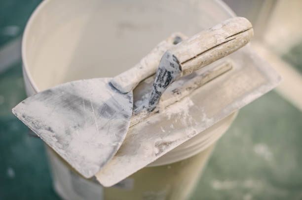 Biohazard Mold Removal in Alexandria, KY